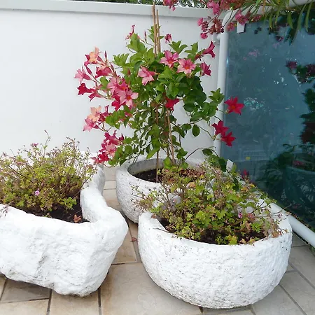 Ξενοδοχείο Firenze 3*